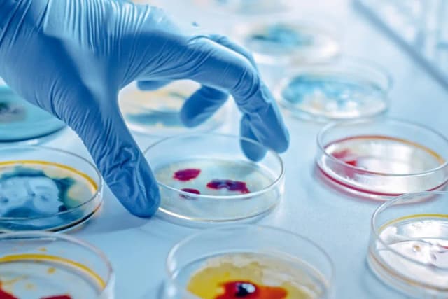 Mikrobiologia co po studiach: jak uniknąć najczęstszych błędów zawodowych
